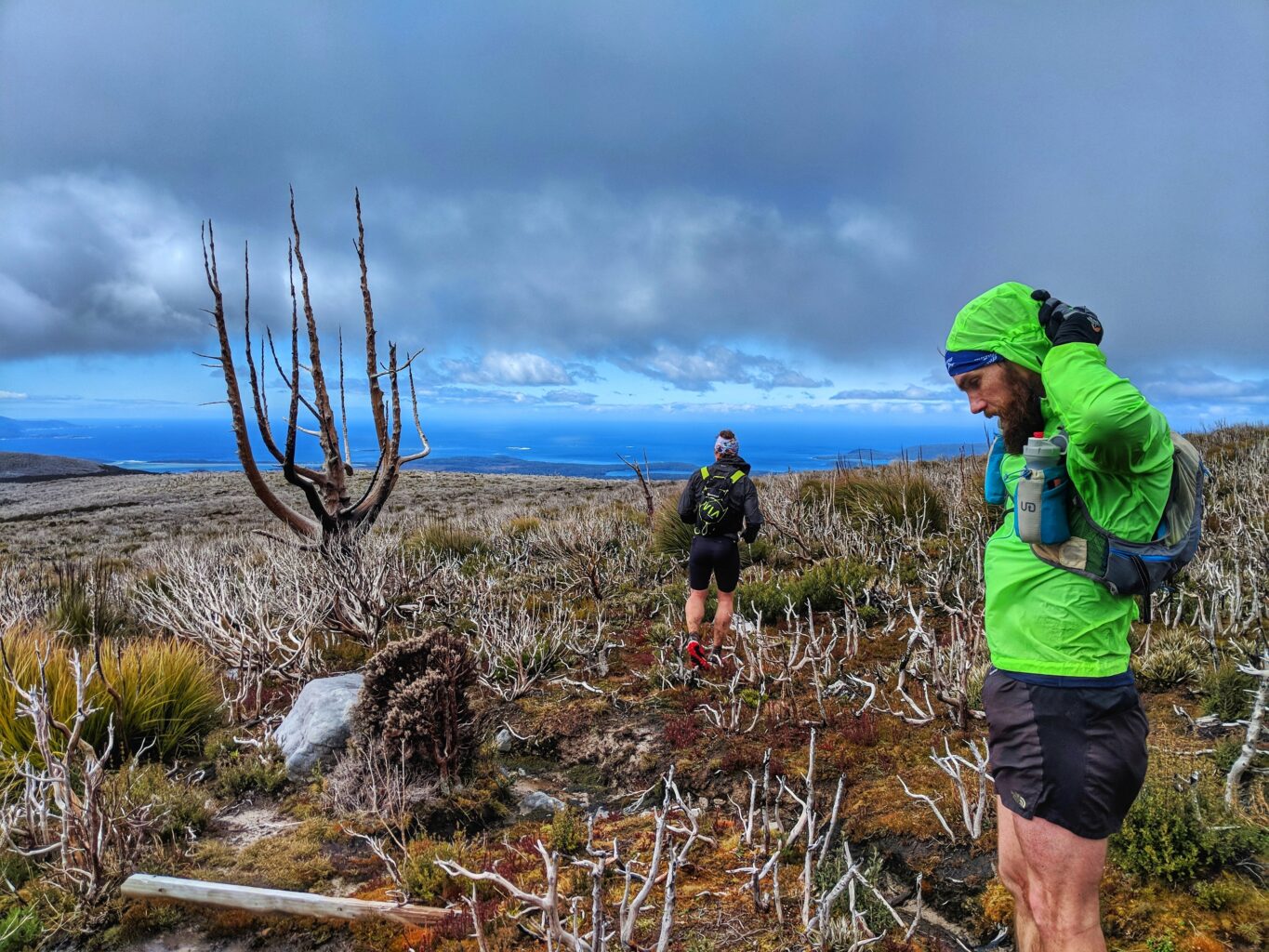 Trail Running Tasmania, Hobart