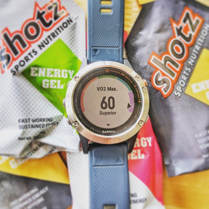 Garmin fenix 5 vo2max discount