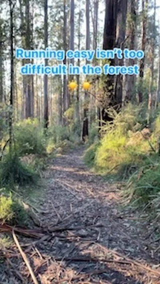 Keeping things easy isn’t hard in The Dandenongs 😍 The hard bit is not stopping and spending the morning listening to the birds 🐦🐦🐦

#trailrunning #forestbathing #forestrunning